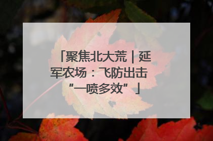 聚焦北大荒｜延军农场：飞防出击 “一喷多效”