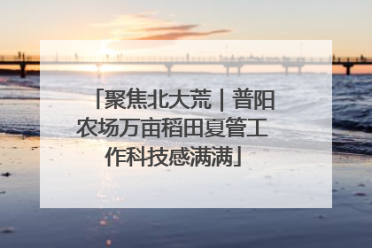 聚焦北大荒｜普阳农场万亩稻田夏管工作科技感满满