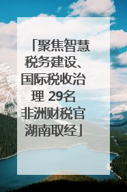 聚焦智慧税务建设、国际税收治理 29名非洲财税官湖南取经