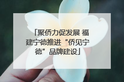 聚侨力促发展 福建宁德推进“侨见宁德”品牌建设