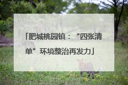 肥城桃园镇：“四张清单”环境整治再发力