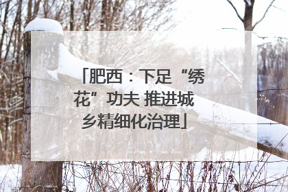 肥西：下足“绣花”功夫 推进城乡精细化治理
