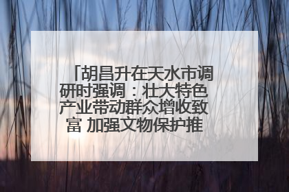 胡昌升在天水市调研时强调：壮大特色产业带动群众增收致富 加强文物保护推动文化创新发展