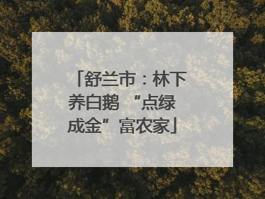 舒兰市：林下养白鹅 “点绿成金”富农家