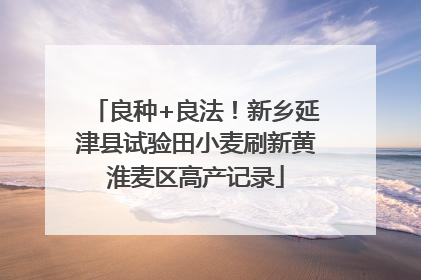 良种+良法！新乡延津县试验田小麦刷新黄淮麦区高产记录