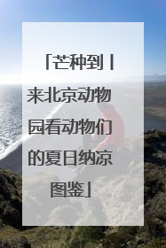 芒种到丨来北京动物园看动物们的夏日纳凉图鉴