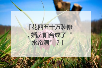花四五十万装修，婚房阳台成了“水帘洞”？