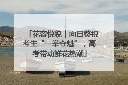 花容悦貌｜向日葵祝考生“一举夺魁”，高考带动鲜花热潮
