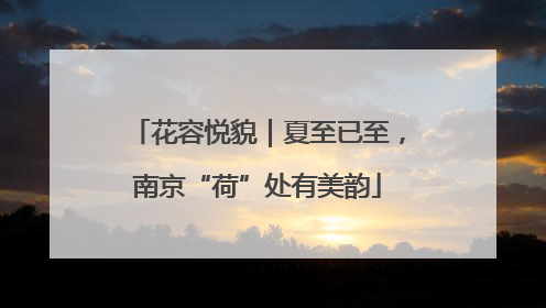 花容悦貌｜夏至已至，南京“荷”处有美韵