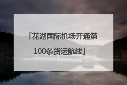 花湖国际机场开通第100条货运航线