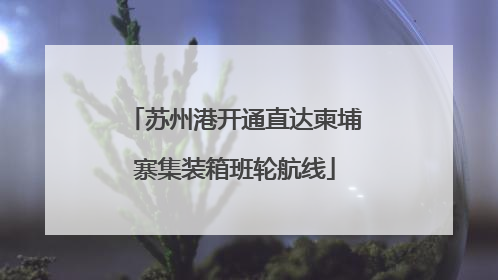 苏州港开通直达柬埔寨集装箱班轮航线
