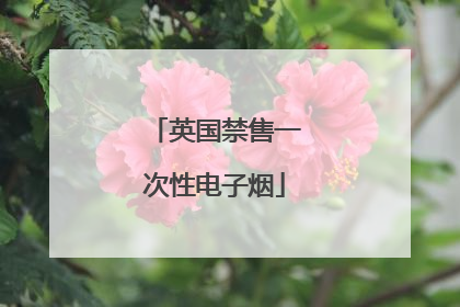 英国禁售一次性电子烟
