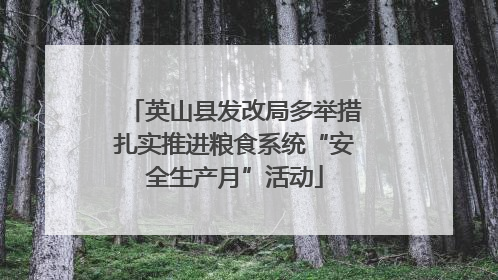 英山县发改局多举措扎实推进粮食系统“安全生产月”活动