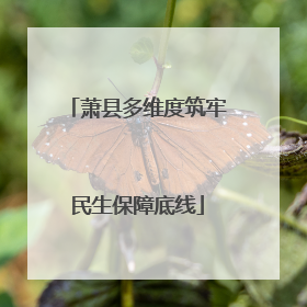 萧县多维度筑牢民生保障底线
