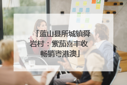 蓝山县所城镇舜岩村：紫茄喜丰收 畅销粤港澳