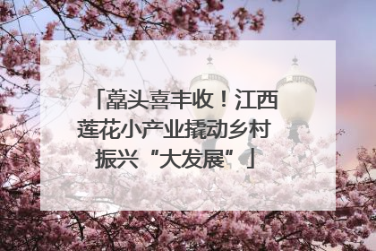 藠头喜丰收！江西莲花小产业撬动乡村振兴“大发展”