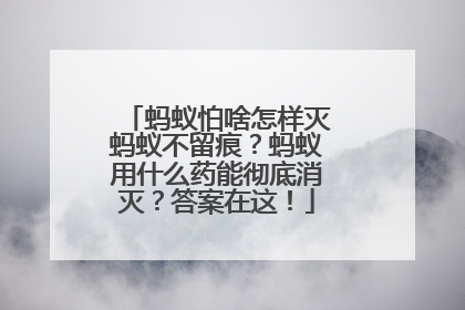蚂蚁怕啥怎样灭蚂蚁不留痕？蚂蚁用什么药能彻底消灭？答案在这！