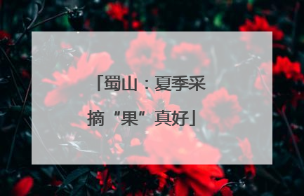 蜀山：夏季采摘“果”真好