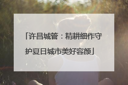 许昌城管：精耕细作守护夏日城市美好容颜