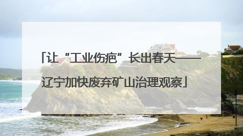 让“工业伤疤”长出春天——辽宁加快废弃矿山治理观察