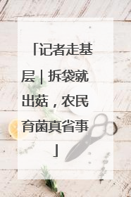 记者走基层｜拆袋就出菇，农民育菌真省事