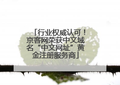 行业权威认可！京客网荣获中文域名“中文网址”黄金注册服务商