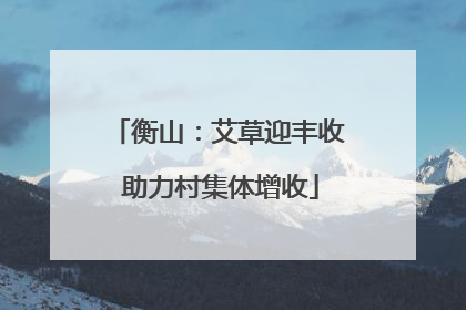 衡山：艾草迎丰收 助力村集体增收