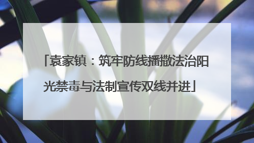 袁家镇：筑牢防线播撒法治阳光禁毒与法制宣传双线并进