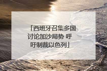 西班牙召集多国讨论加沙局势 呼吁制裁以色列