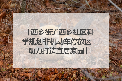 西乡街道西乡社区科学规划非机动车停放区 助力打造宜居家园