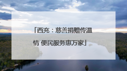 西充：慈善捐赠传温情 便民服务惠万家