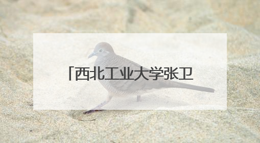 西北工业大学张卫红院士荣获J.N.Reddy奖章