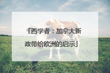 西学者：加拿大新政带给欧洲的启示