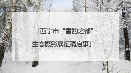 西宁市“雪豹之都”生态摄影展征稿启事