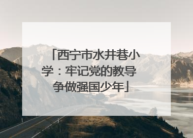 西宁市水井巷小学：牢记党的教导 争做强国少年