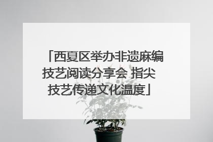 西夏区举办非遗麻编技艺阅读分享会 指尖技艺传递文化温度