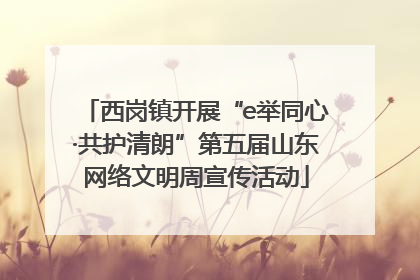 西岗镇开展“e举同心·共护清朗”第五届山东网络文明周宣传活动