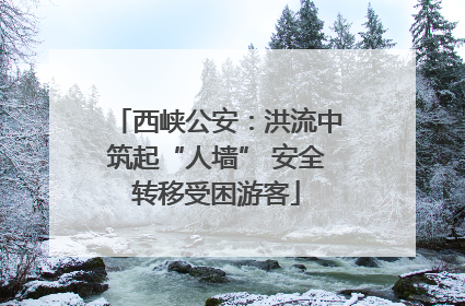西峡公安：洪流中筑起“人墙” 安全转移受困游客