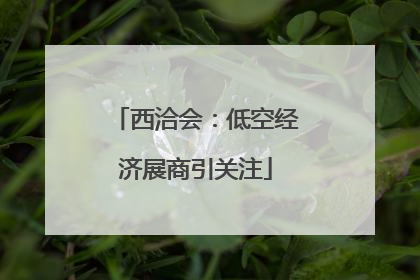 西洽会：低空经济展商引关注