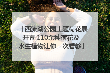 西流湖公园主题荷花展开幕 110余种荷花及水生植物让你一次看够