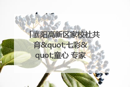 襄阳高新区家校社共育"七彩"童心 专家团支招智慧育儿