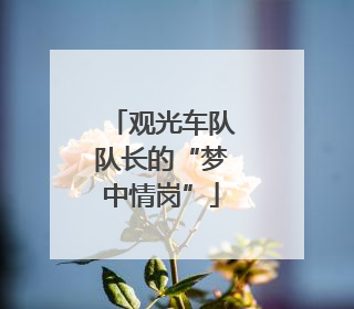 观光车队队长的“梦中情岗”