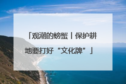 观潮的螃蟹丨保护耕地要打好“文化牌”