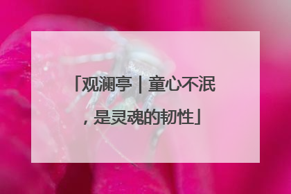 观澜亭｜童心不泯，是灵魂的韧性
