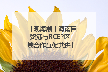 观海潮｜海南自贸港与RCEP区域合作互促共进