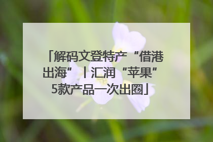 解码文登特产“借港出海”丨汇润“苹果”5款产品一次出圈