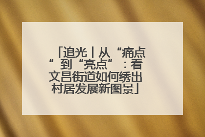 追光丨从“痛点”到“亮点”：看文昌街道如何绣出村居发展新图景