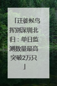 迁徙候鸟挥别深圳北归：单日监测数量最高突破2万只