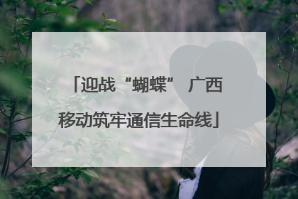 迎战“蝴蝶” 广西移动筑牢通信生命线