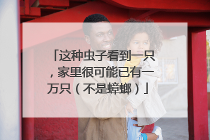 这种虫子看到一只，家里很可能已有一万只（不是蟑螂）